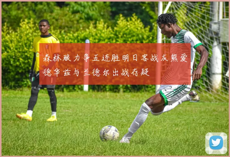 森林狼力争五连胜明日客战灰熊爱德华兹与兰德尔出战存疑