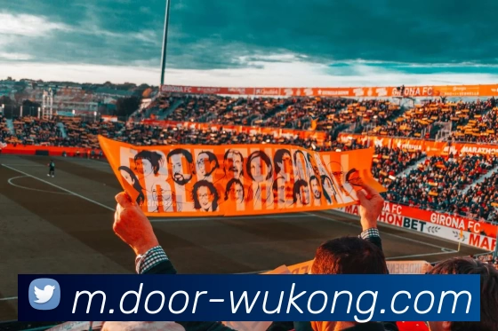 悟空体育平台生态图